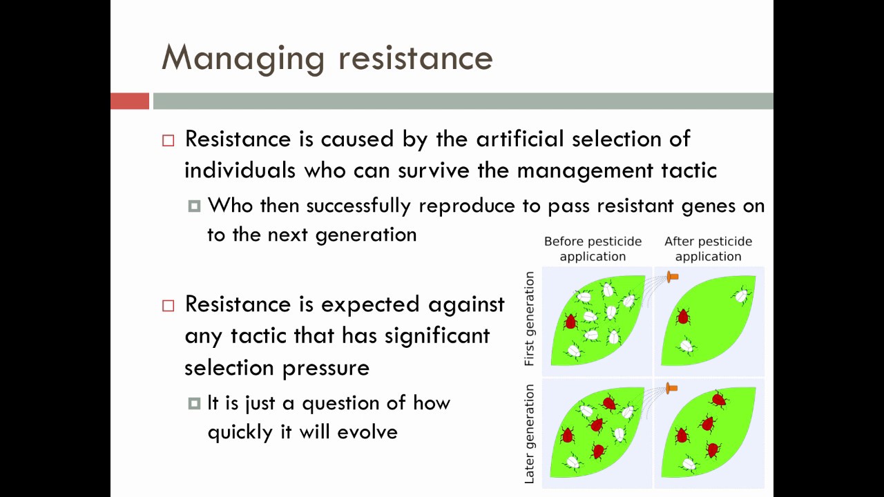 Lecture 23: Managing Resistance