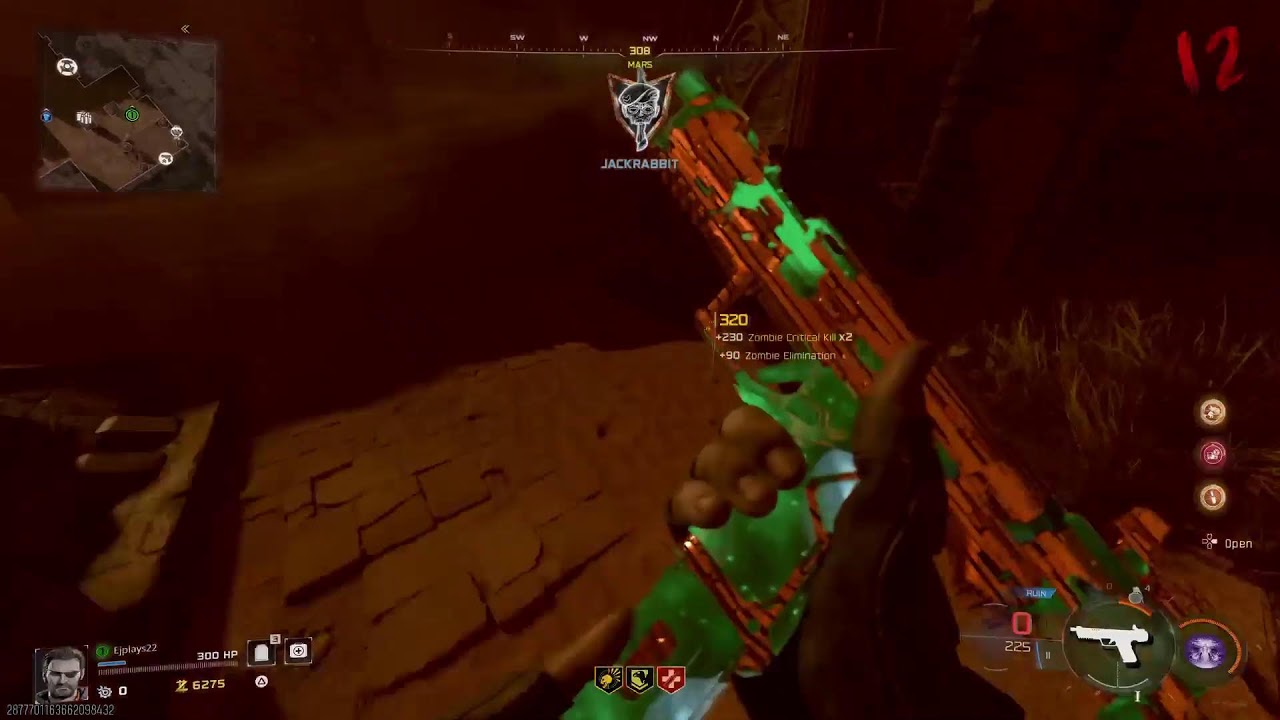 Black ops 7 Zombies special camos!!!!