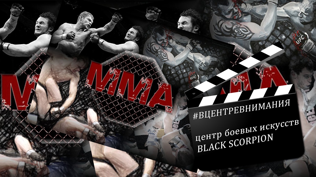 Центр боевых искусств BLACK SCORPION  отрывок из проекта 