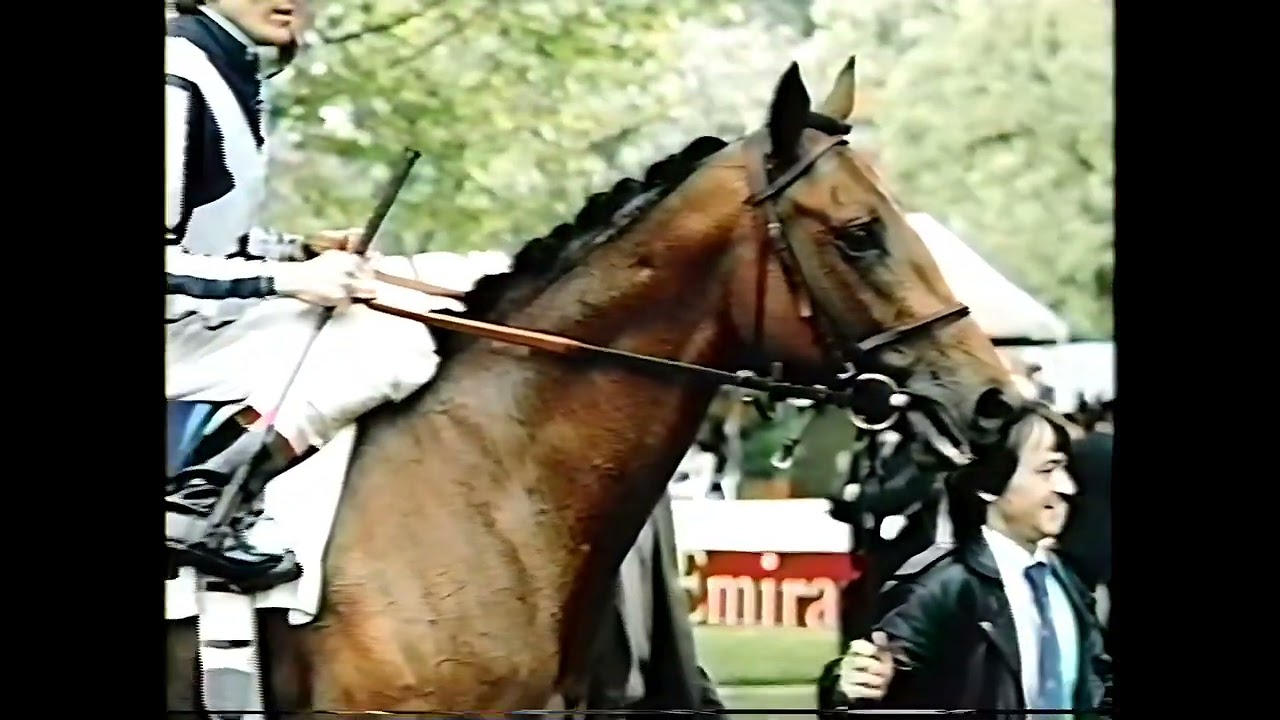 Kingmambo - Lane's End Stallion video
