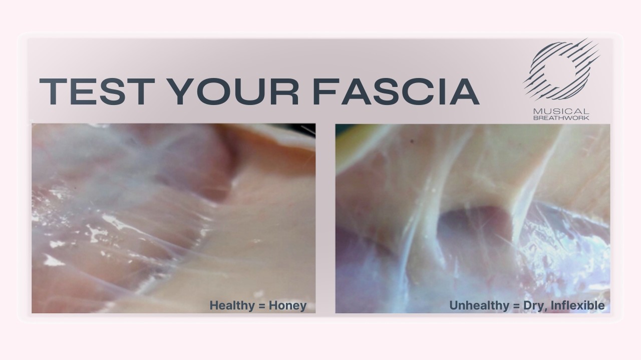 Fascia Test