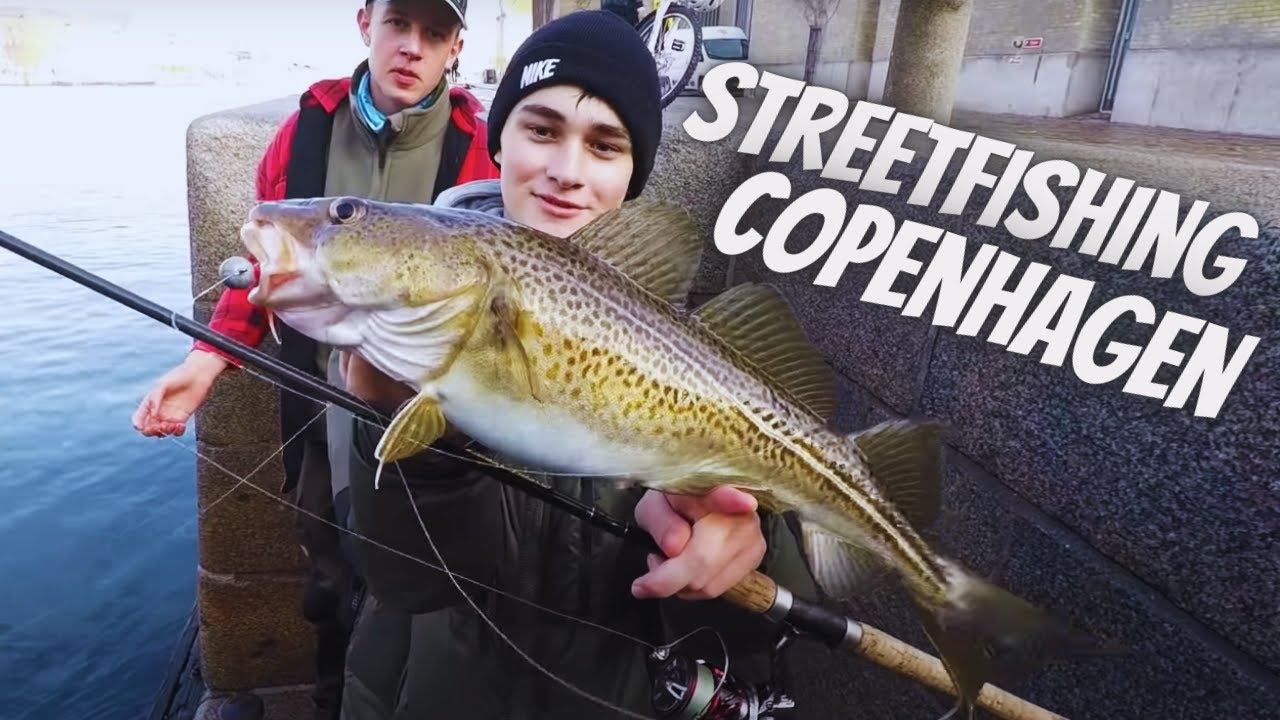 CATCHING PROPER COD! - STREETFISHING Copenhagen 2018