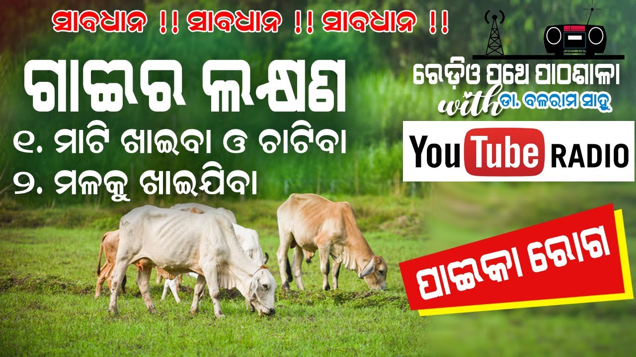 ପାଇକା ରୋଗ ଓ ତାର ଉପଚାର || EP 12 || Radio Pathe Pathasala with Dr. Balaram Sahu .