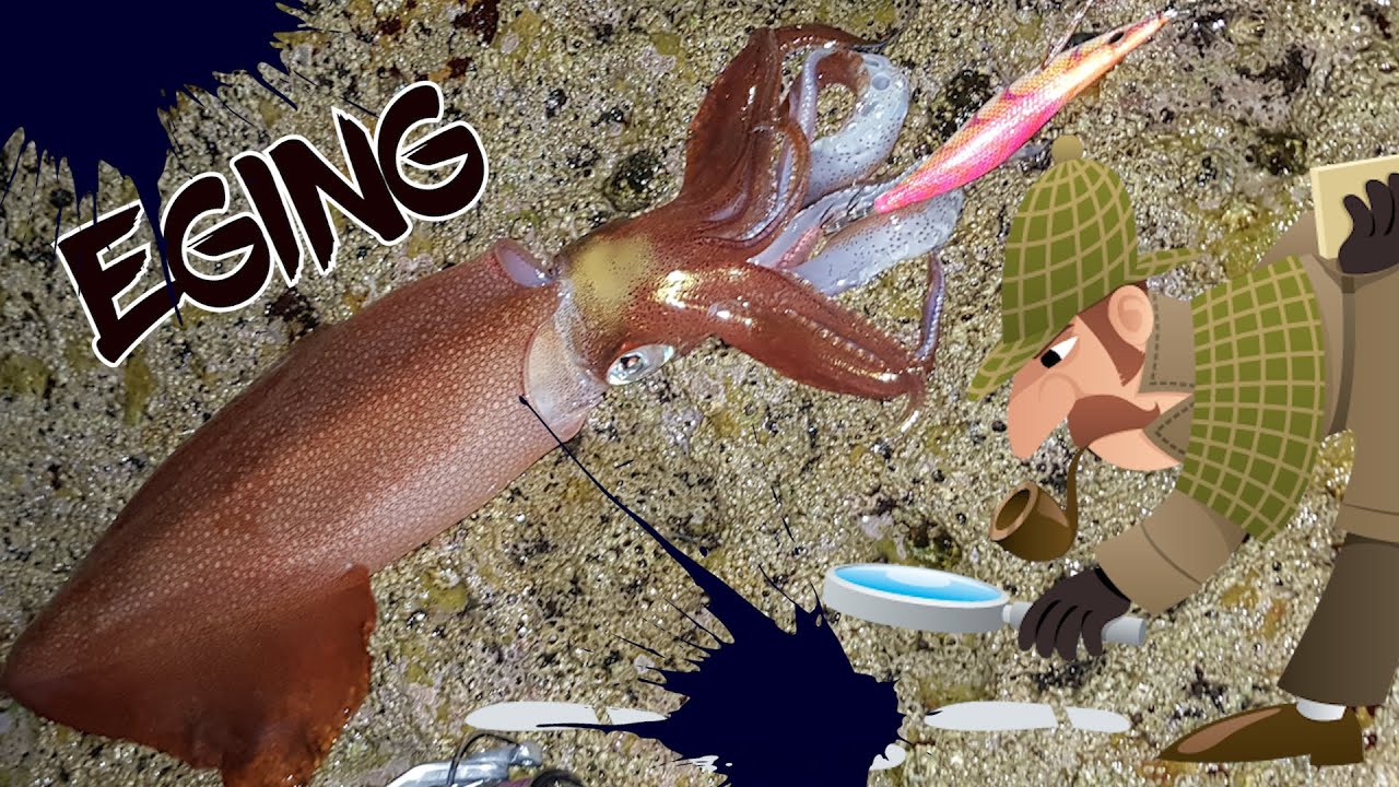 🎯【 PESCA CALAMAR🦑🦑】ENCONTRAR LOS MEJORES SITIOS 💯
