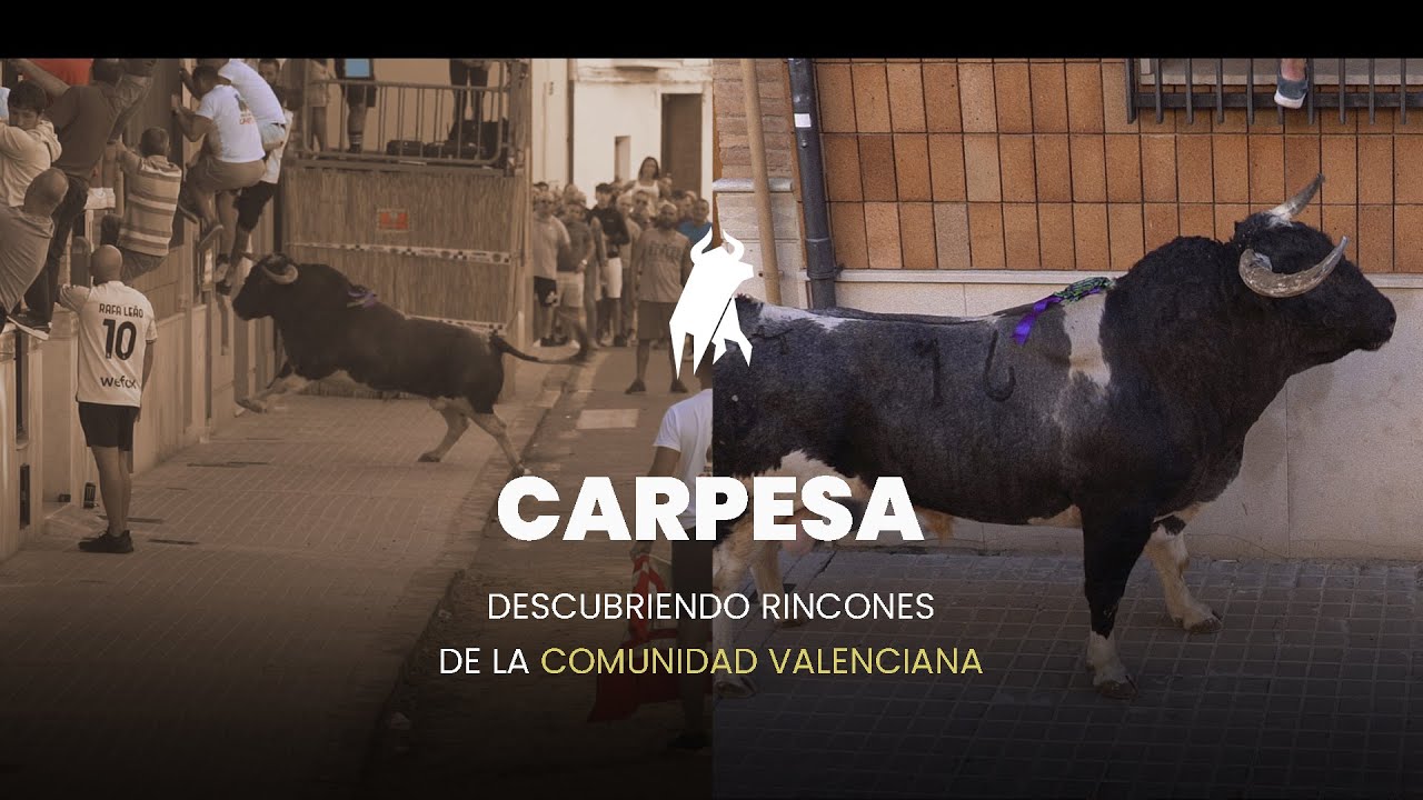 CARPESA a vista de tirolina ▶ 45º Aniversario de la peña taurina EL CARPESANO