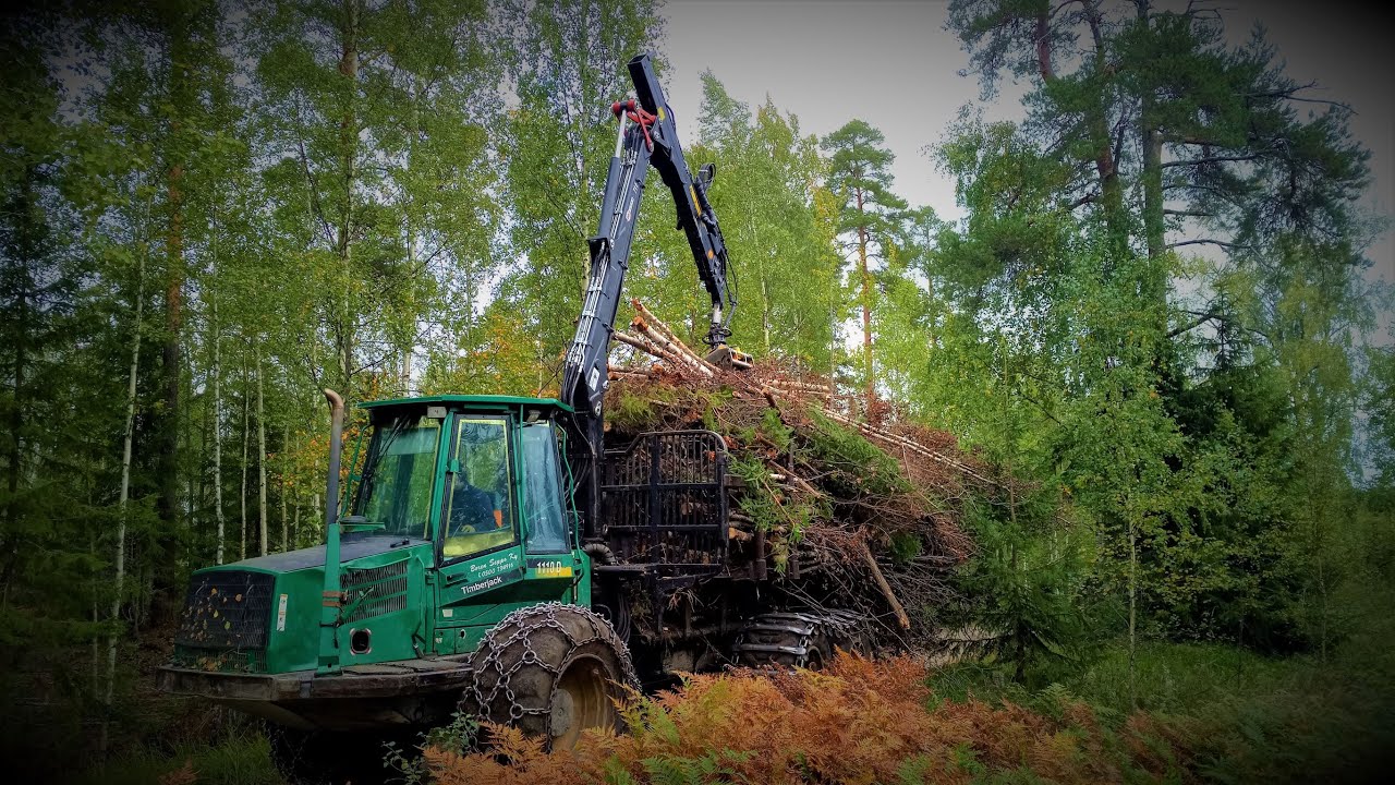 Timberjack 1110D energiapuun ajossa, osa 1/3. 🌳🌲🌳 -Pure Sound-