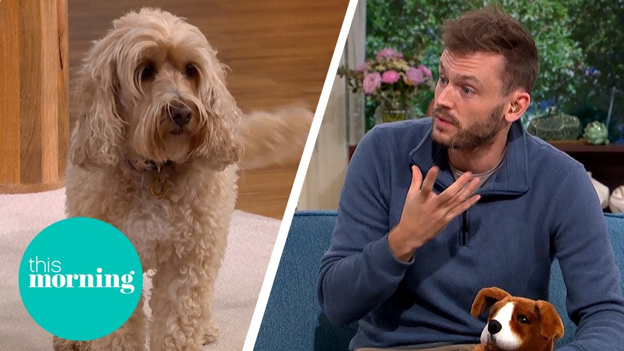 Pet First Aid: How To Save Your Dog's Life | This Morning