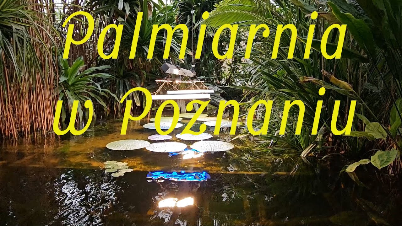 Palmiarnia Poznańska 2024