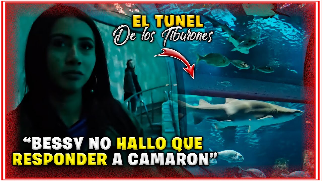 Que susto le saco la banda eléctrica a Sugar🤣 | Llegamos al tunel de los tiburones 