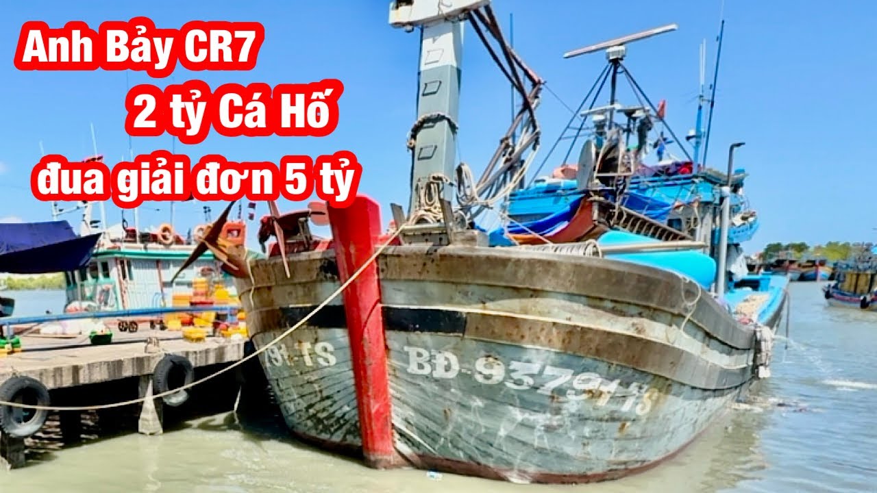 Блюдо из скумбрии стоимостью 2 миллиарда донгов: семь фотографий с рыбацкой лодки из провинции Би...
