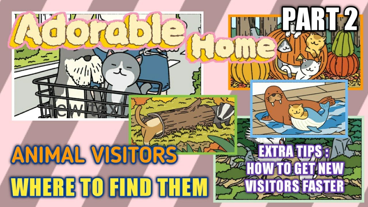 ADORABLE HOME | HOW TO GET VISITORS and EXTRA TIPS -PART 2-