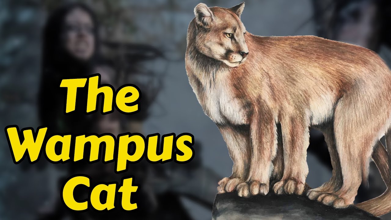 The Legend Of The Wampus Cat