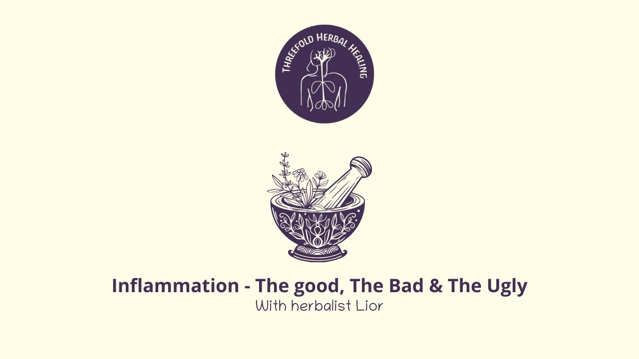 Inflammation The Good The Bad & The Ugly