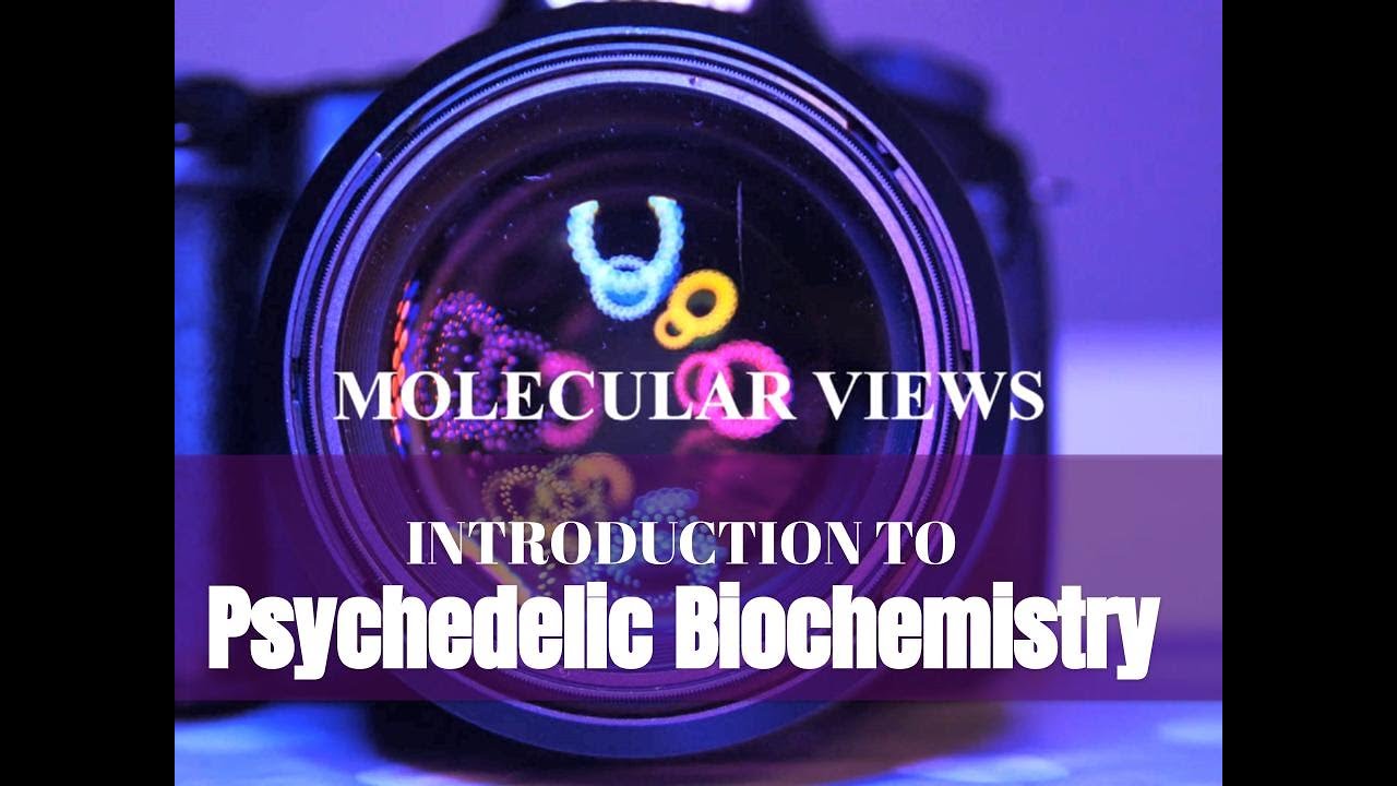 Introduction to Psychedelic Biochemistry | MOLECULAR VIEWS