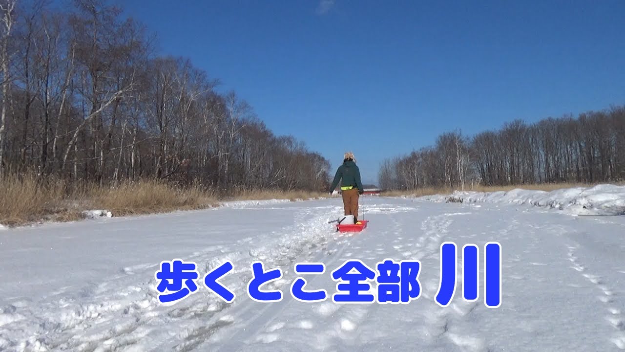氷の下は夢いっぱい！