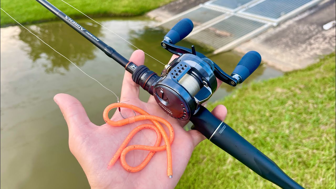 This 18 Inch Worm Catches EVERY Fish In The Lake!