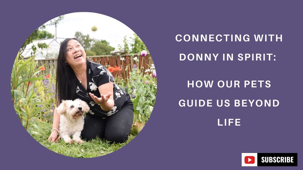 Developing Spirit Relationships with Pets | Animal Communication