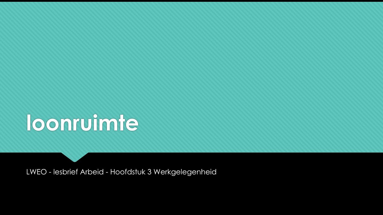 Les 11 - Loonruimte - lesbrief Arbeid - LWEO - VWO 5 - economie