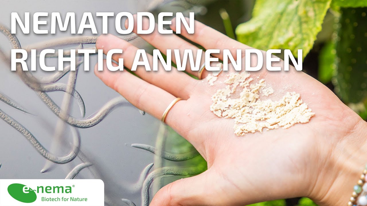 Nematoden richtig anwenden | e-nema