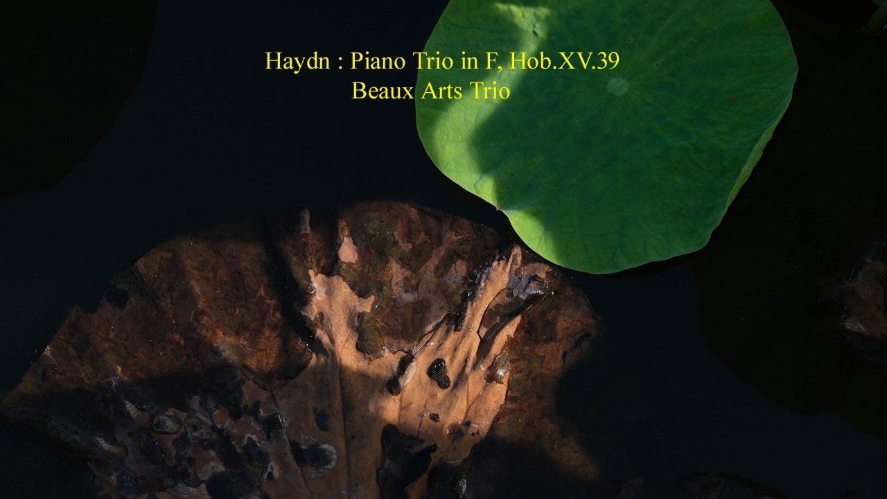 Haydn : Piano Trio in F, Hob.XV.39