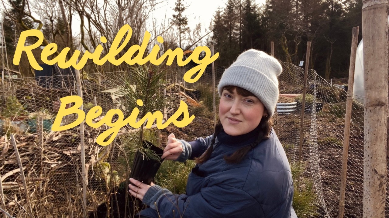 HOW WE'RE BRINGING LIFE BACK TO THE FOREST HOME | Trees #30