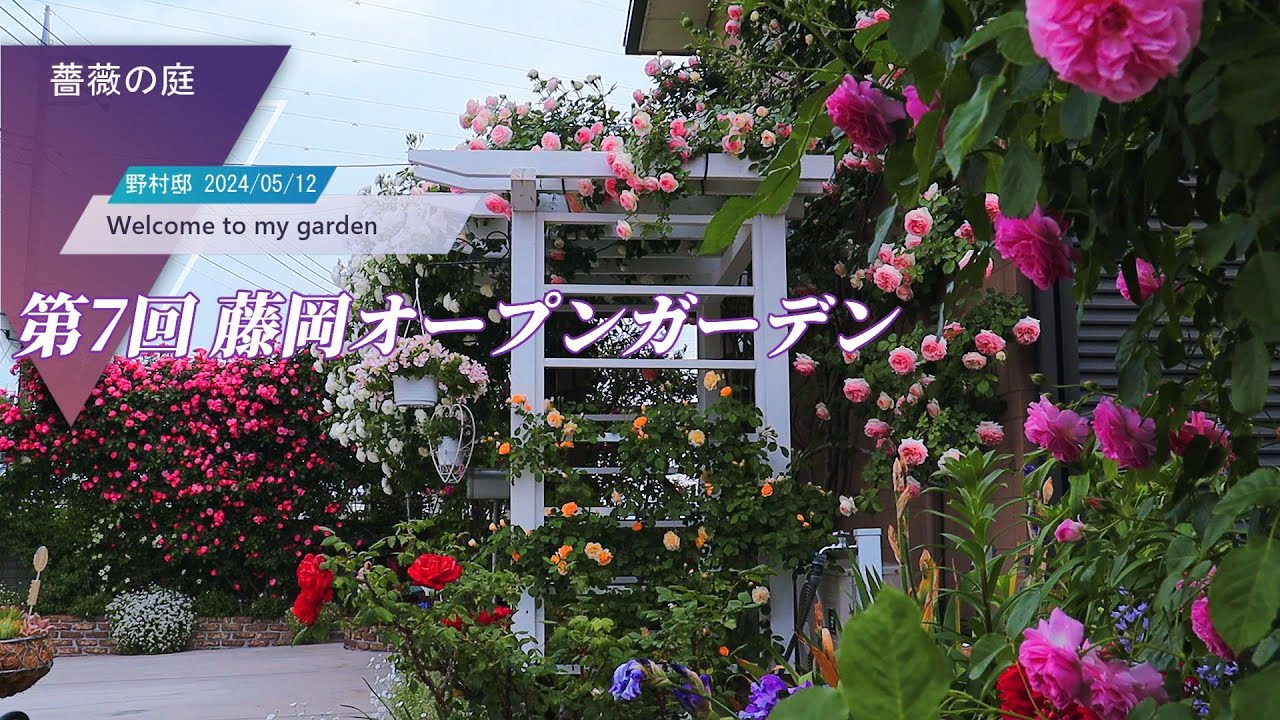 【藤岡オープンガーデン】薔薇の庭　野村邸 Welcome to my garden 2024年5月12日撮影　群馬県藤岡市