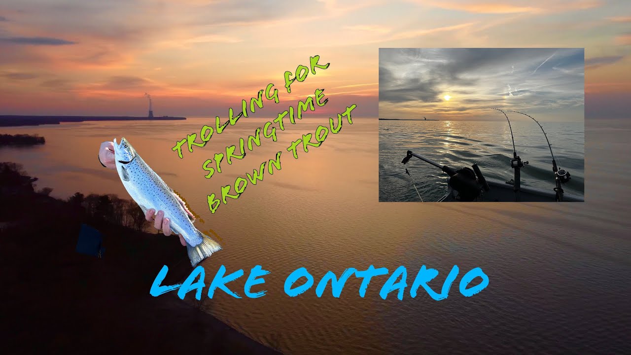 Spring Brown Trout on Lake Ontario! Trolling Michigan Stinger Spoons Along the Shoreline ~