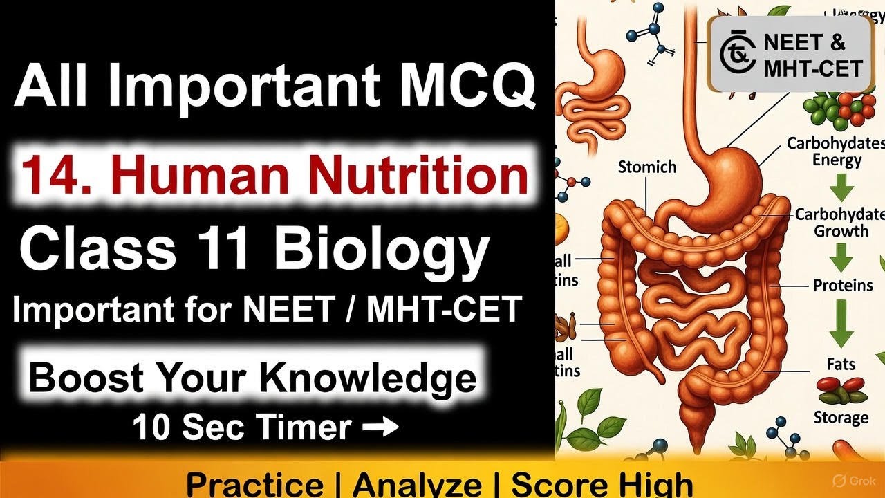 Class 11 Biology | 14 Human Nutrition MCQs | NEET CET Rapid Revision