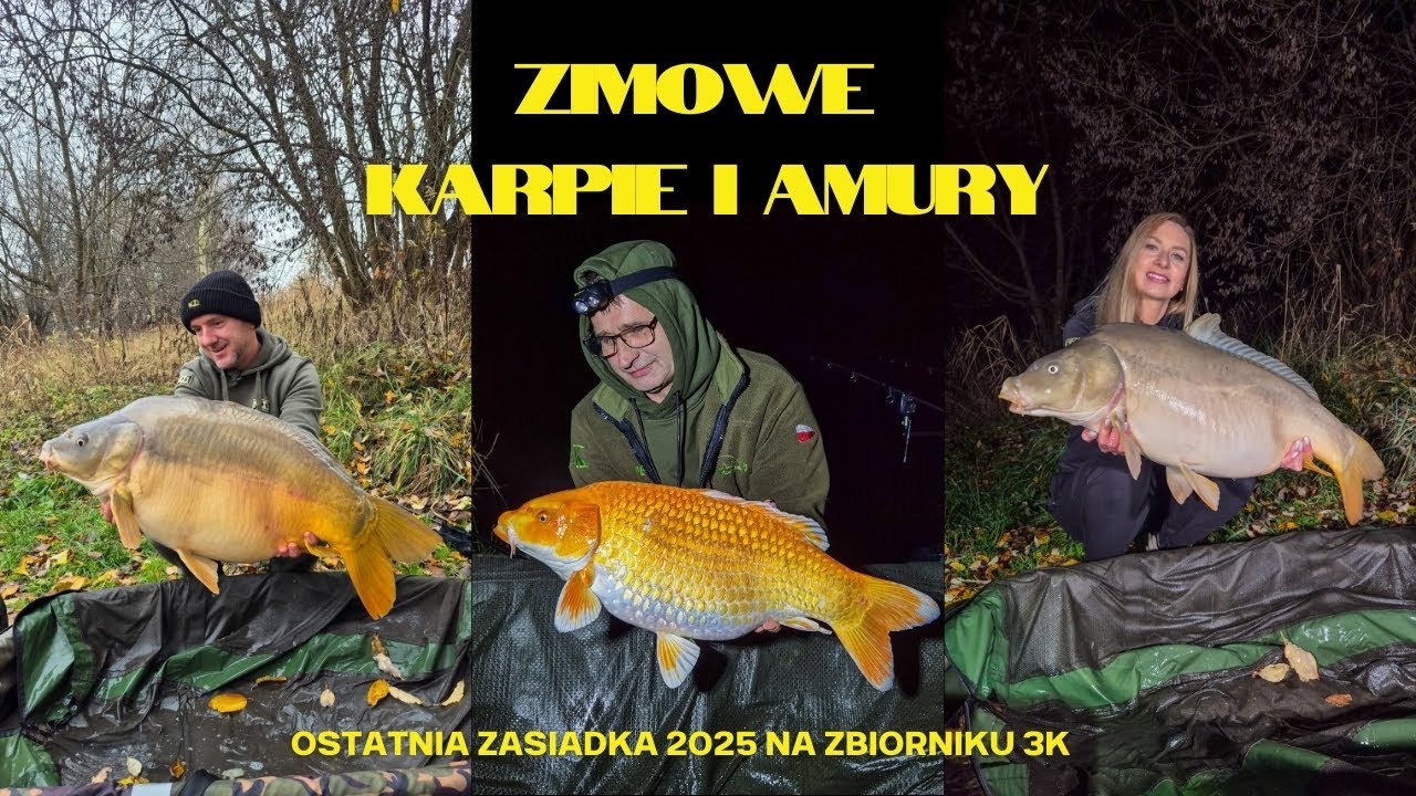 Zimowe karpie i amury, ostatni wyjazd 2025 na 3K - NLT.SKLEP.PL