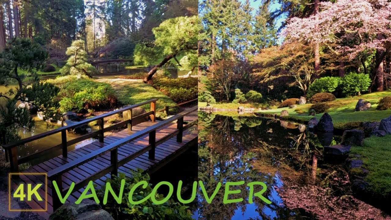 [4K] Top 5 Japanese Garden in North America | Nitobe Memorial Garden at UBC, Vancouver Canada |