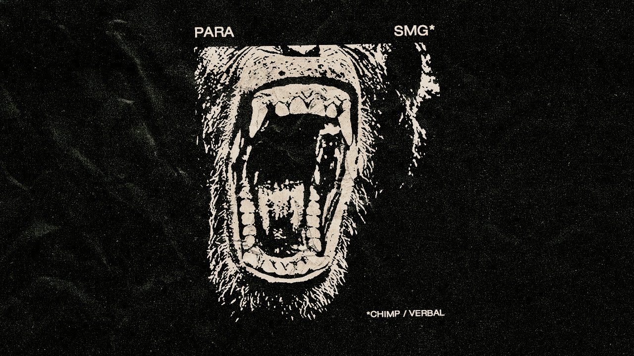 Para - Verbal [Overview Music]