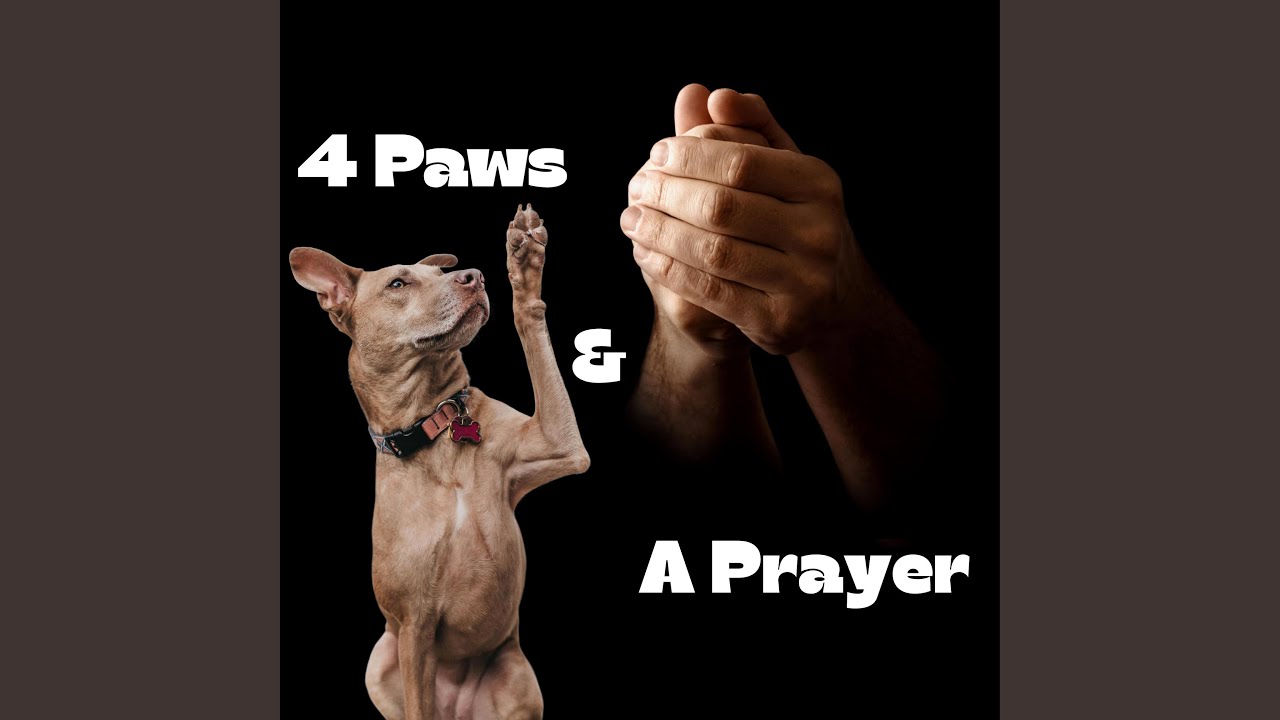4 Paws & a Prayer