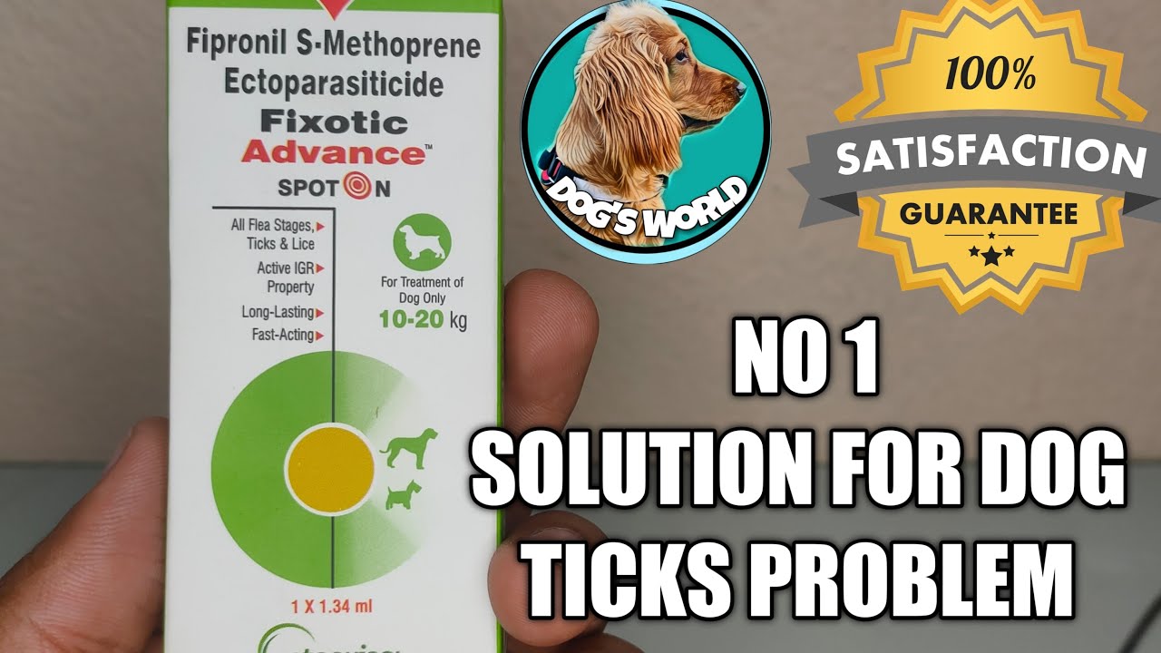 Dog Tick Problem Solution | Tick and Flea Solution, Controller | spot on treatment to your pet Hindi