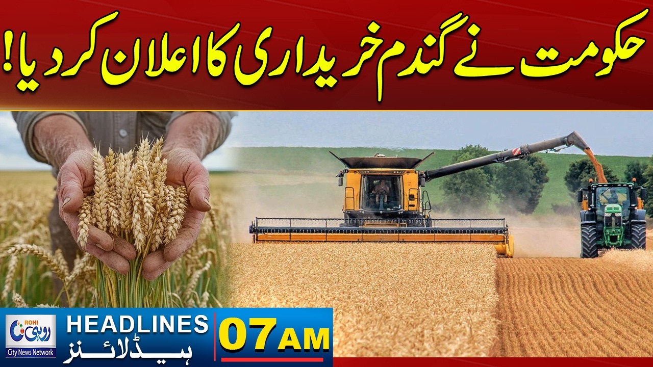 The Government Has Announced Wheat Procurement! l 07AM News Headlines l 04 April 2026 l Rohi
