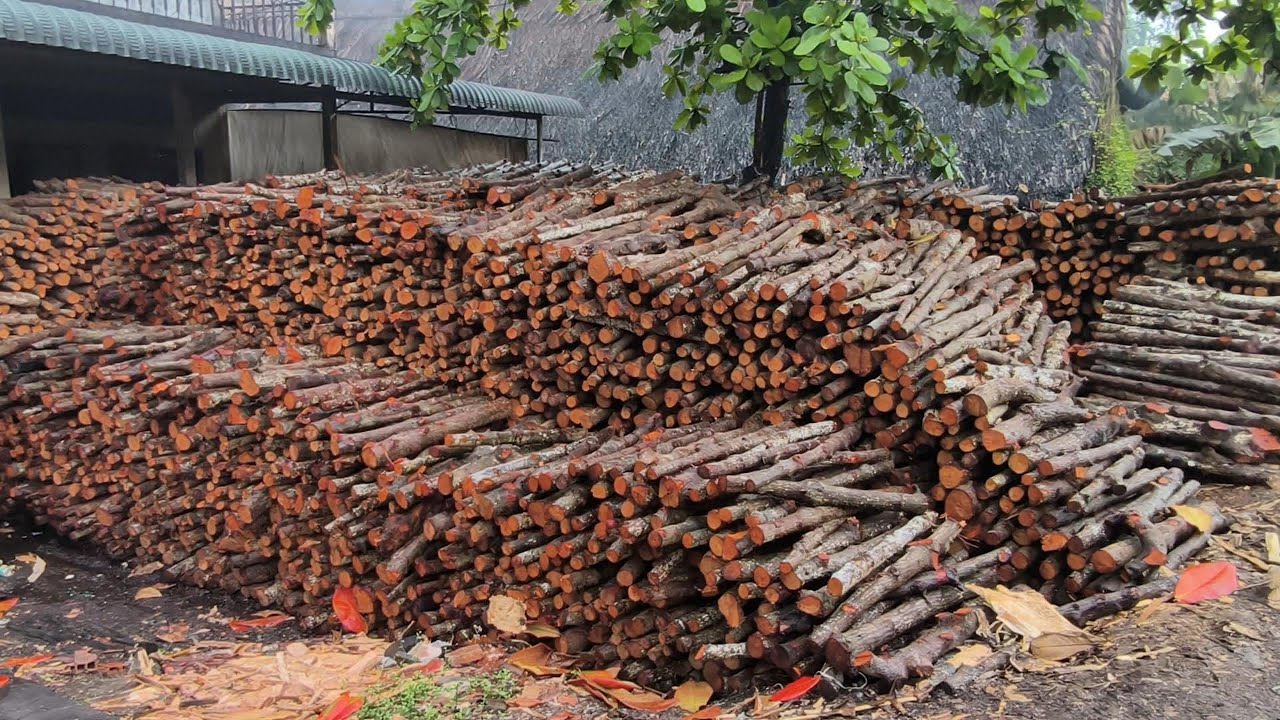 🔥Behind the Scenes of Black Wood Charcoal Production | Vinacharcoal from Vietnam