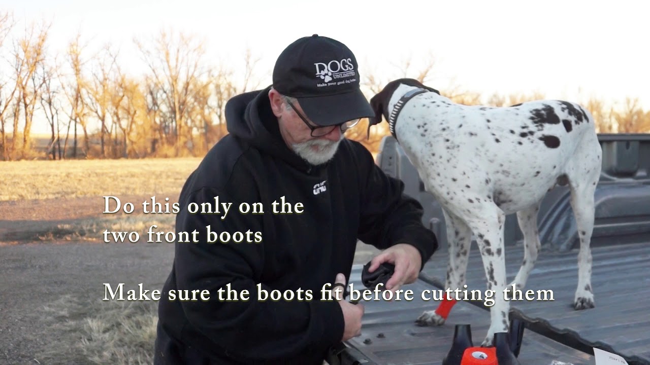 Lewis Dog Boots