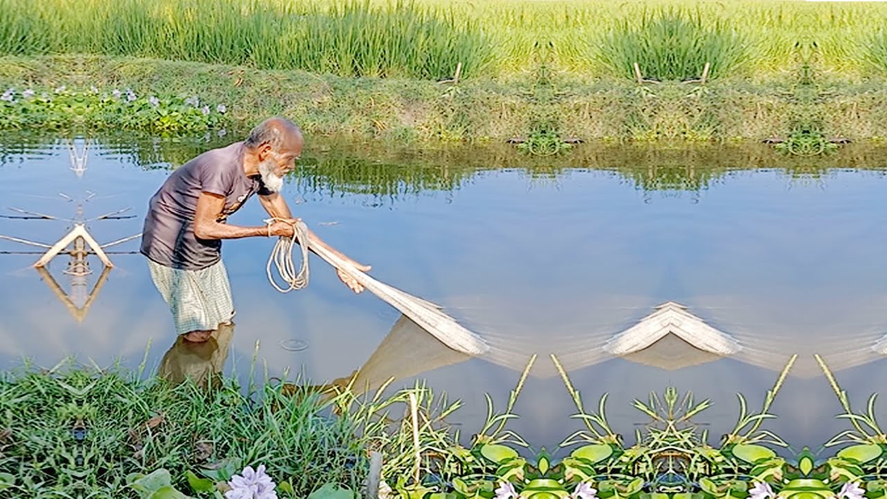 Traditional River Fishing - Amazing Fish Hunting with Cast Net in Village -  Best Cast Fishing Video