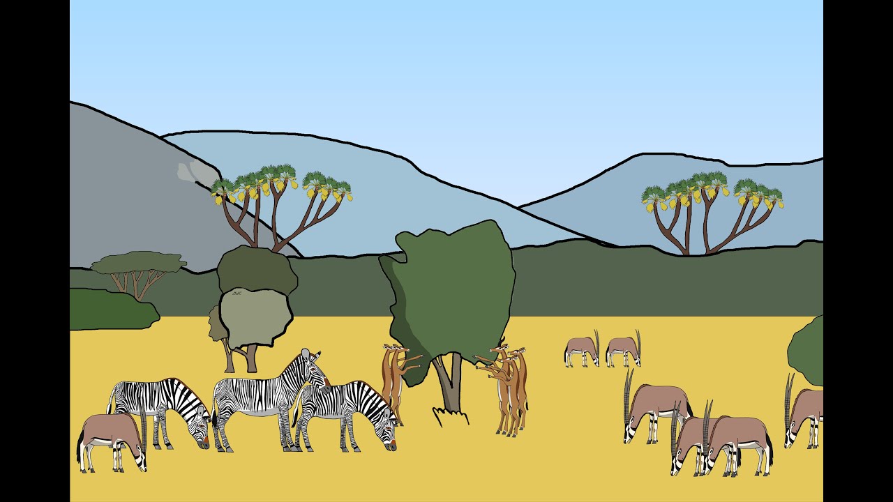 Animal Speed-Painting | Episode 12 🦓