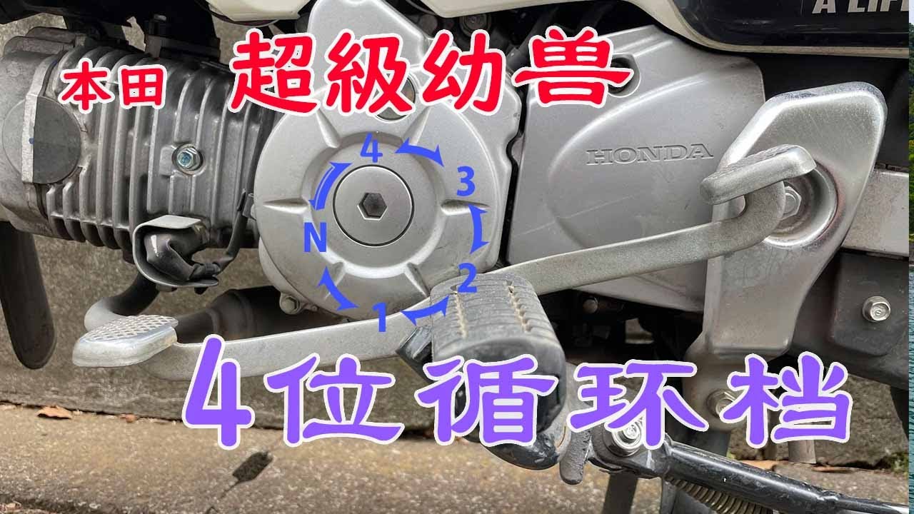 本田超级幼兽cc110 4位循环档