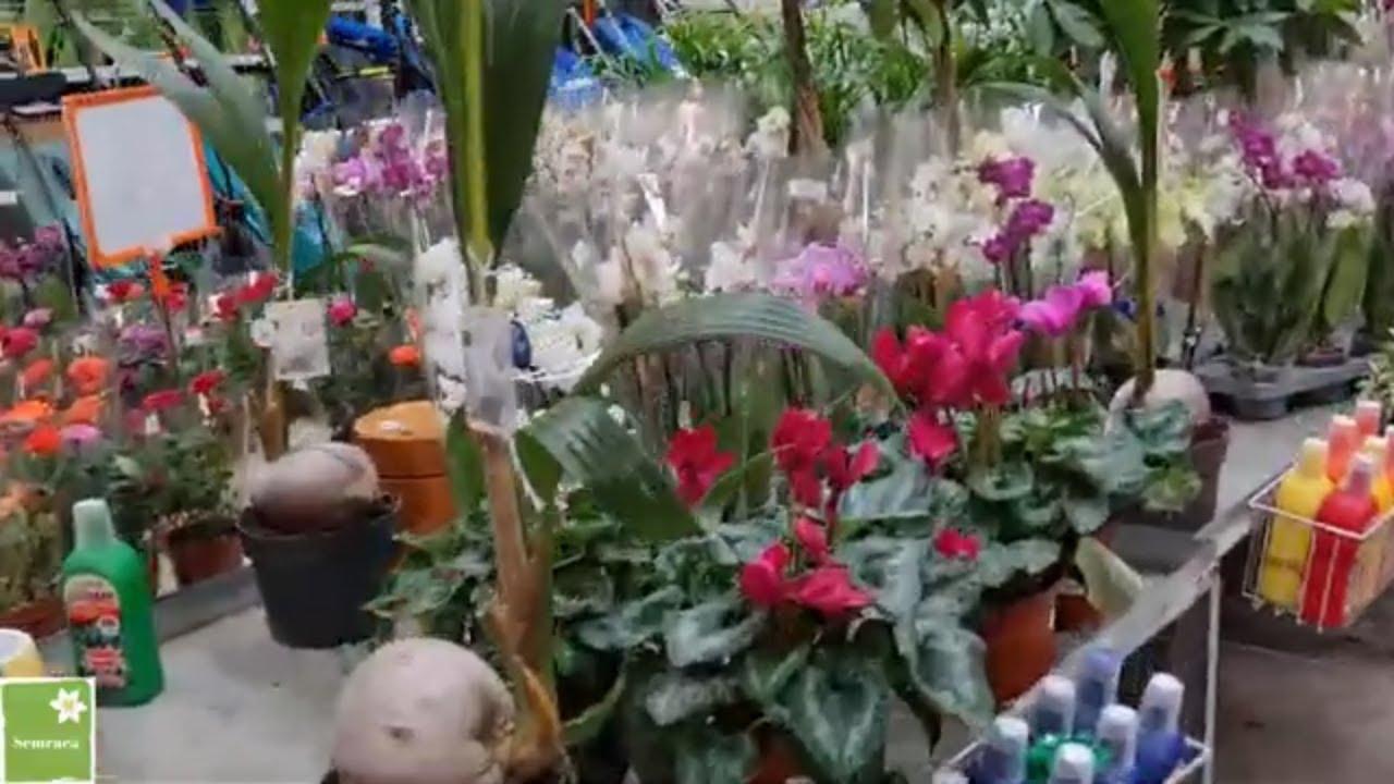 KOÇTAŞ KARTAL VLOG BAKALIM NELER VAR