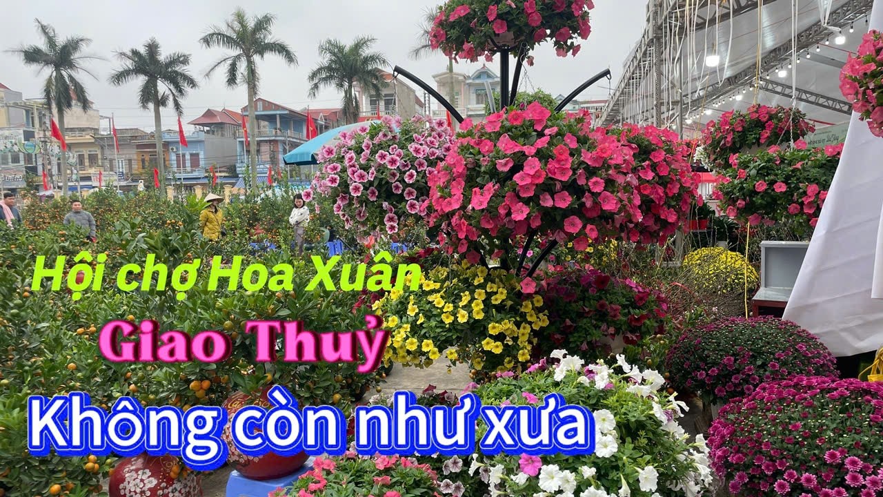Hội chợ hoa xuân Giao Thủy Không còn như xưa