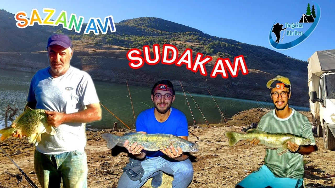 SAZAN AVI /SUDAK AVI /DİŞLİ AVI  #sazanavı  #sudak #balık 