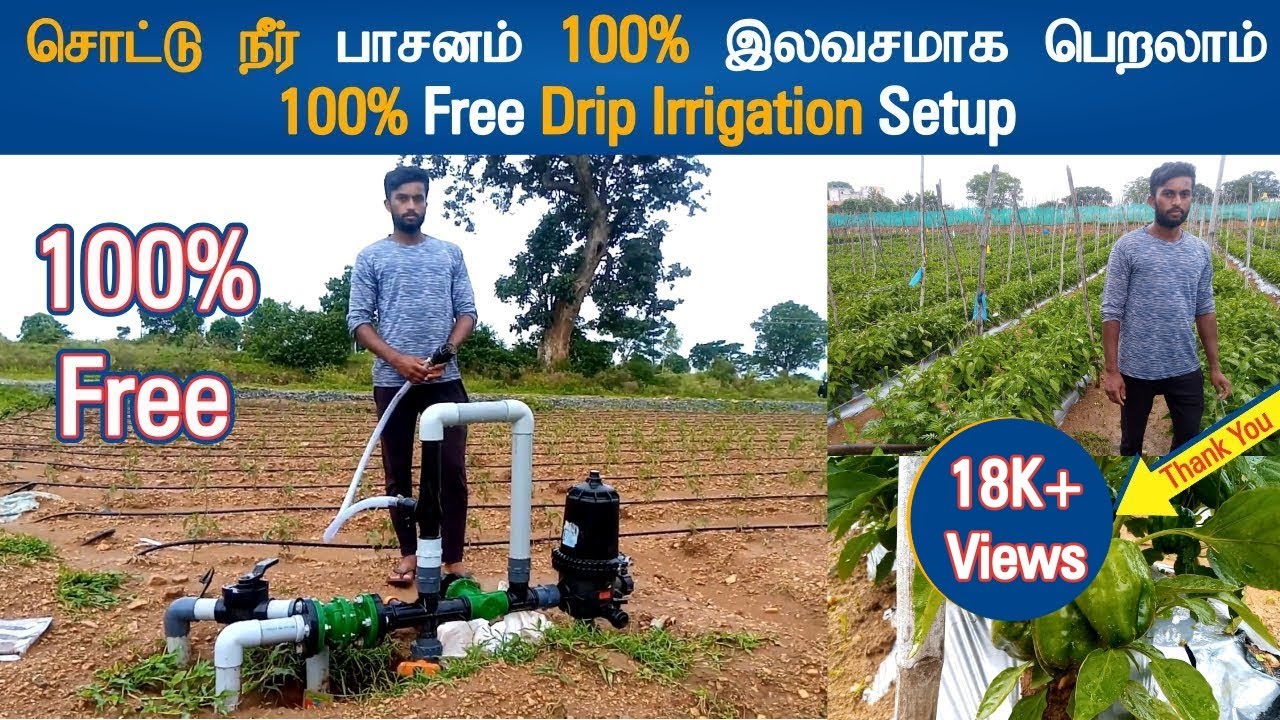 100% Free Drip Irrigation Setup | Dreamer Paul Vlog | Tamil