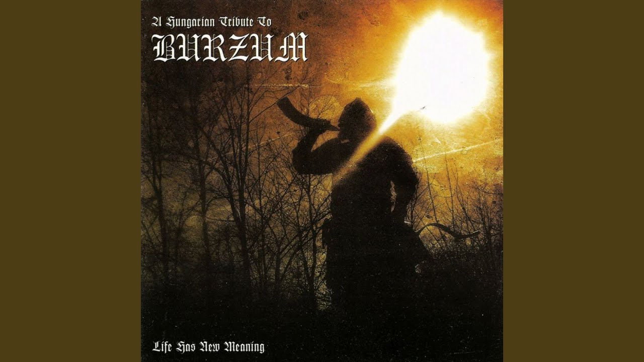 Beholding the Daughters of the Firmament