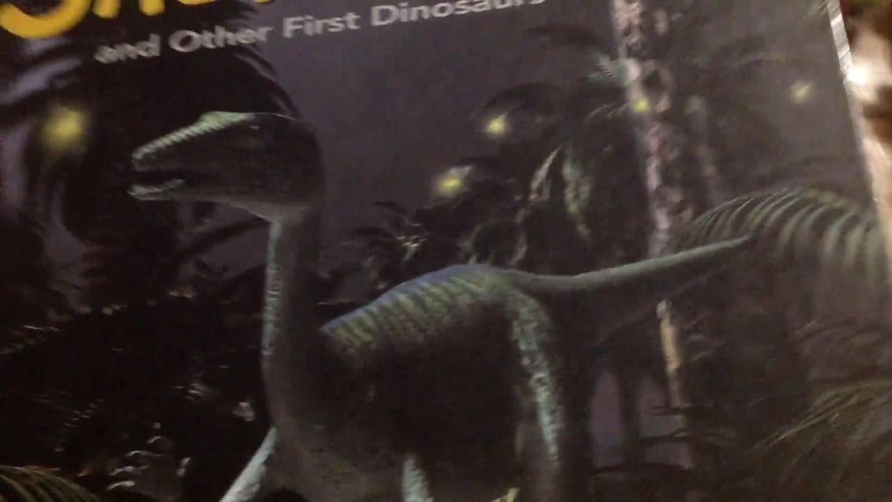 Saltopus and other first Dinos