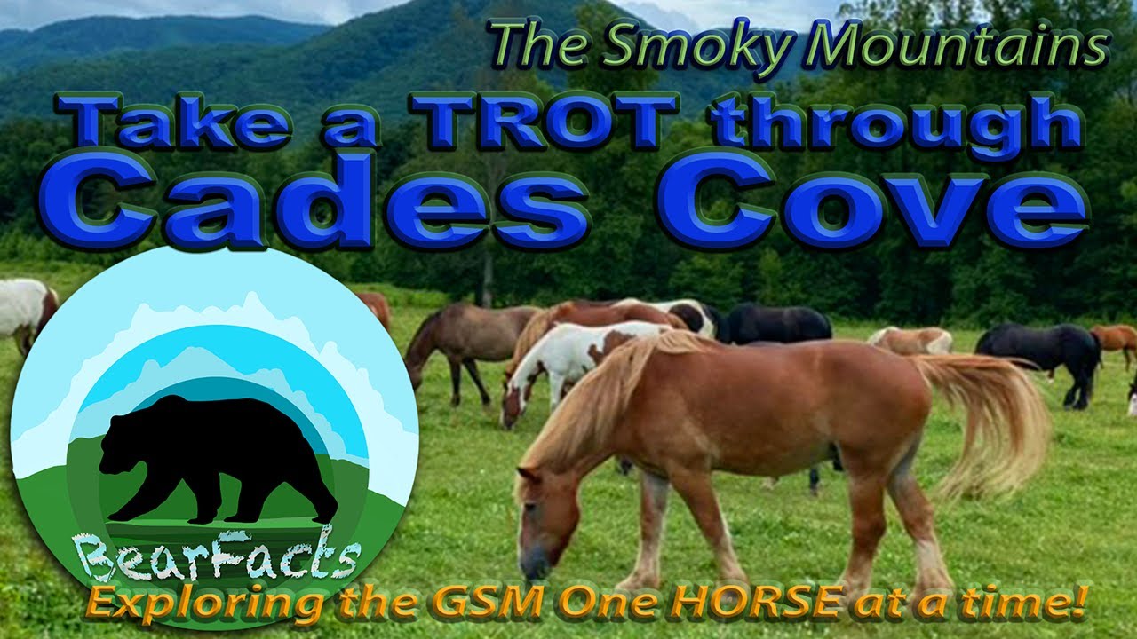 Horseback Riding in Cades Cove: Take a Trot Through Cades Cove