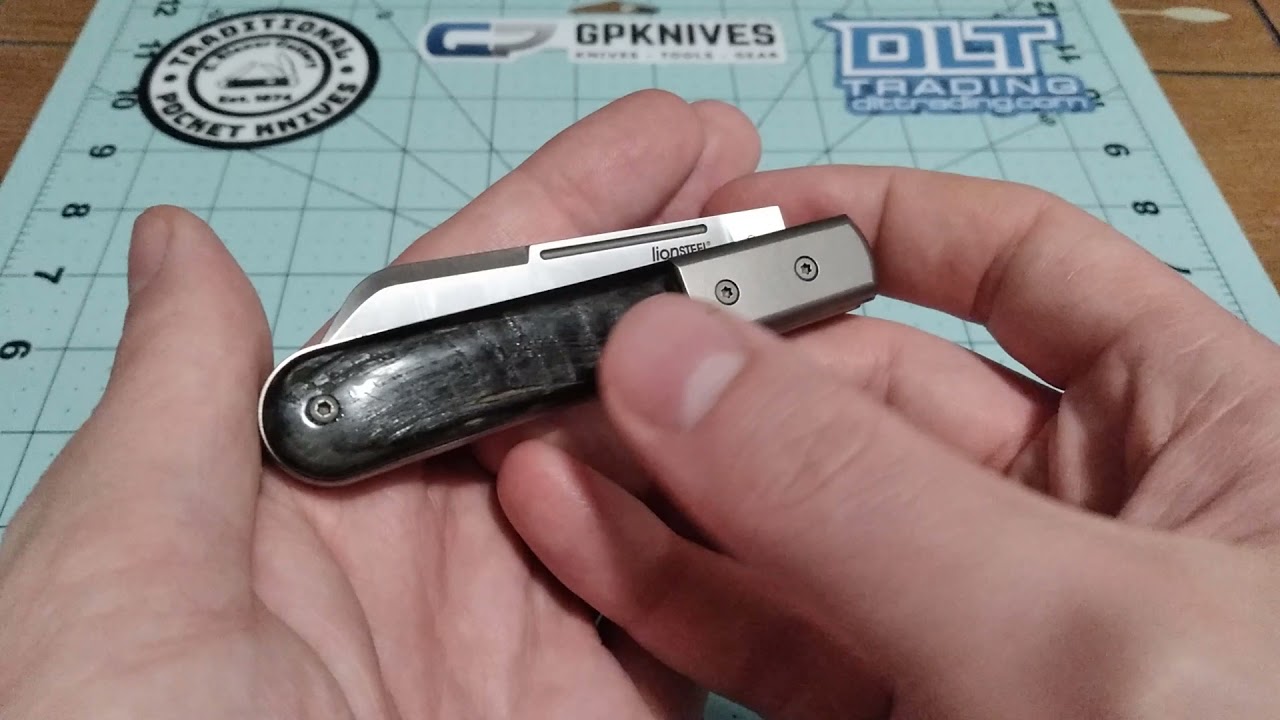 Lionsteel Dom