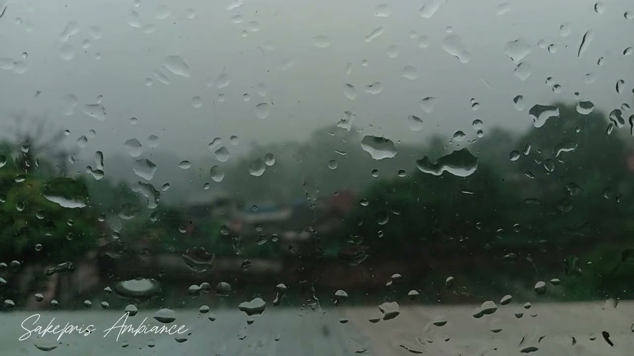 Afternoon Rain Sounds 🌧️ | Relaxing ASMR for Stress Relief & Calm Mind