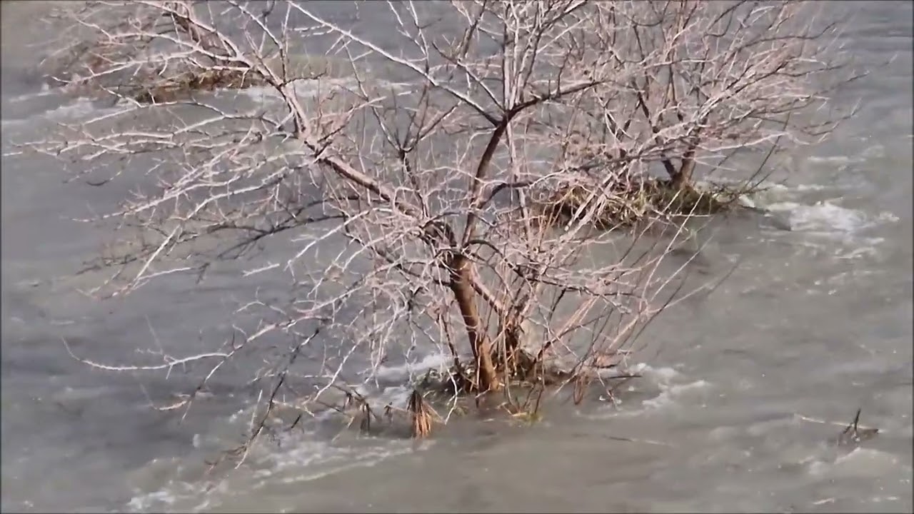 Desembalse del río Guadalmedina