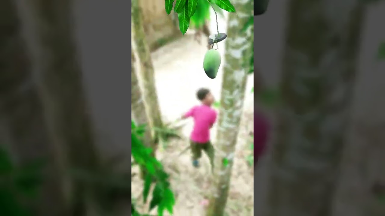 tik tok ringtone 2022